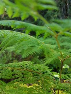 18194602_227212741095907_2223797837522355918_n