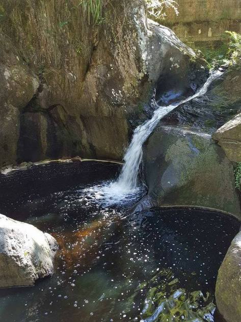 18222287_227212524429262_1175914380493718326_n