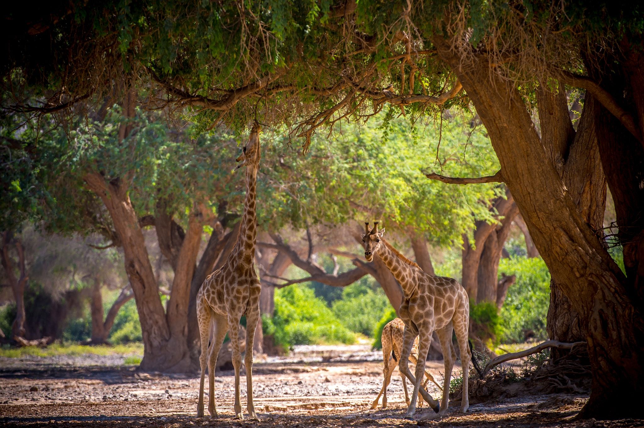 c9b649d08304f0350e88d85aac821e4b