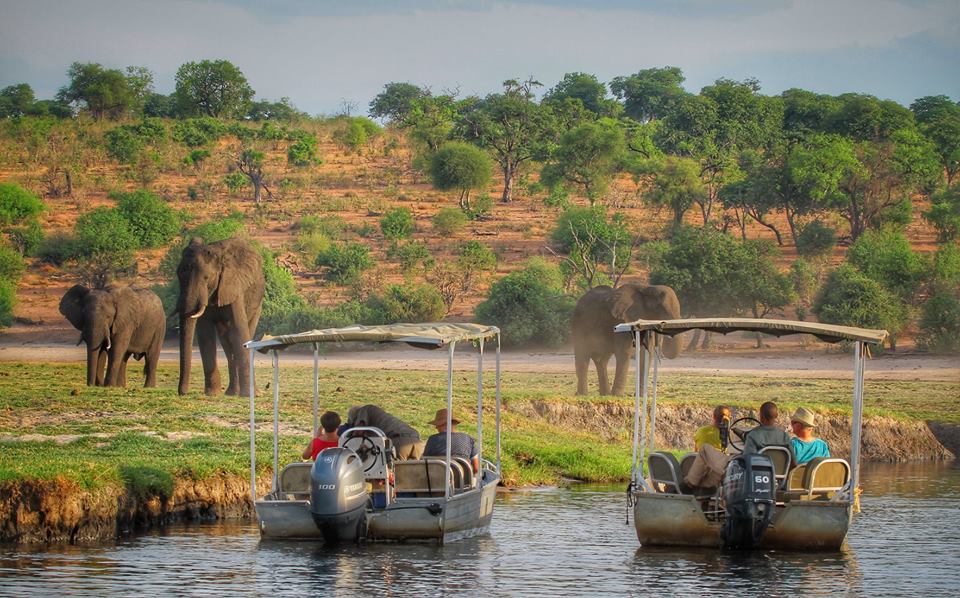 48064118_10157227613680101_5049574152051097600_n