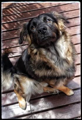 WhatsApp Image 2019-01-10 at 14.57.47.jpeg