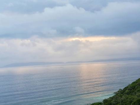 whatsapp image 2019-01-10 at 14.57.47(1)