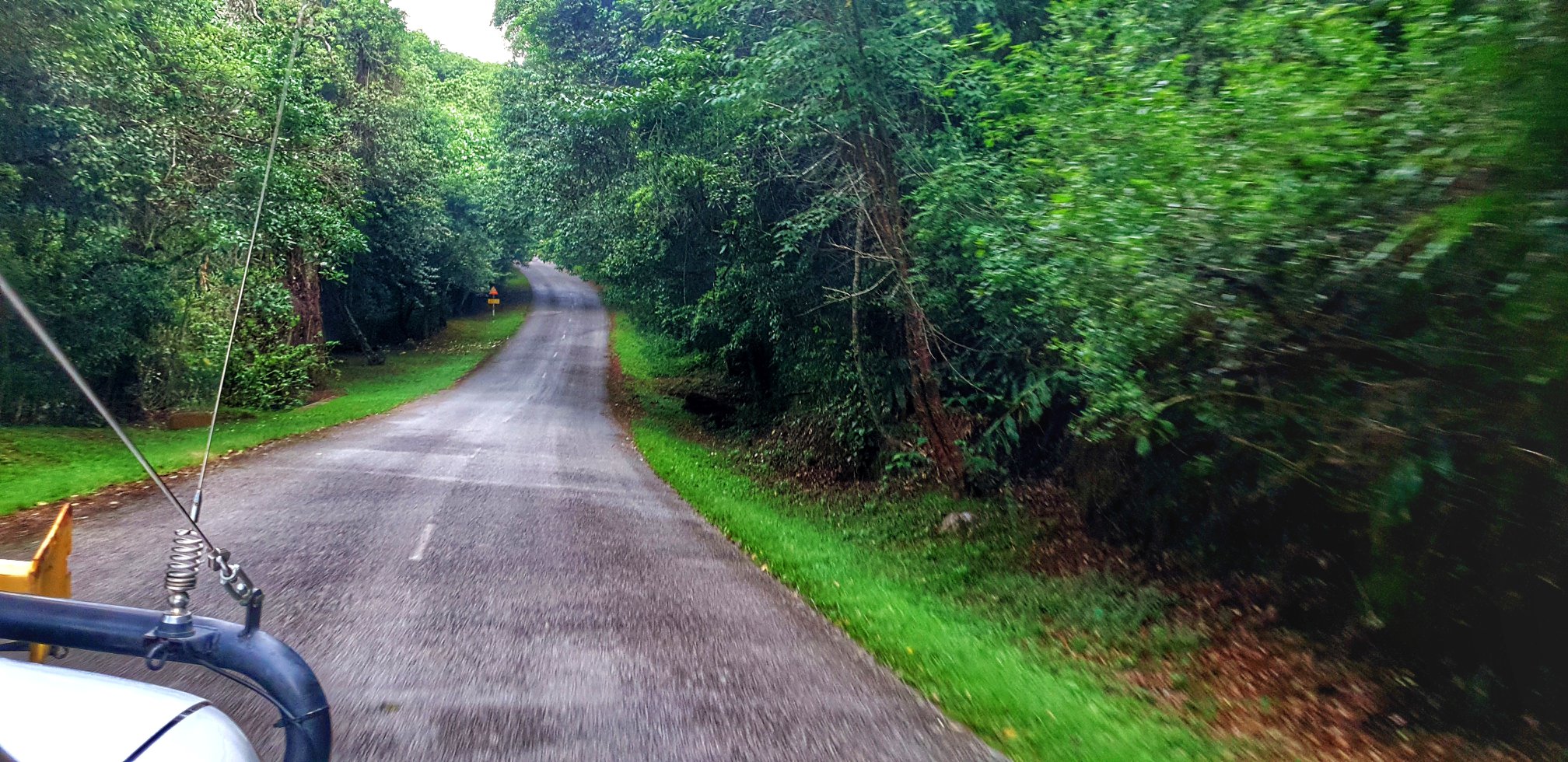 50140874_540336569783521_3108066380969148416_o