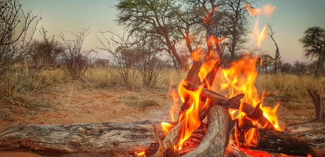 Kalahari camp fire